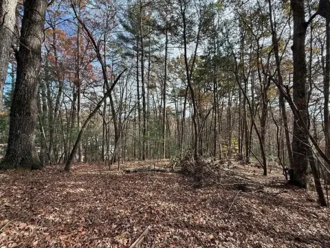 Ellijay Wooded Lot Opportunity