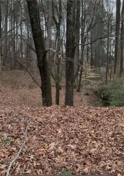 Residential Lot in Briarglen