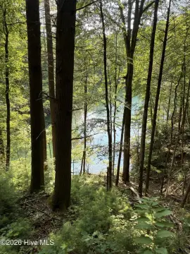 Waterfront Lakefront Land