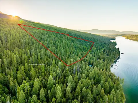 Forested Land Near Swan Lake