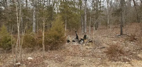 Residential Land in Overlook Subdivision