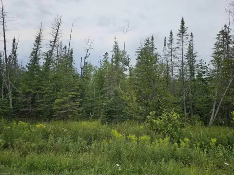 Hunting Land