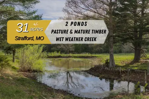 Strafford Land with Pasture