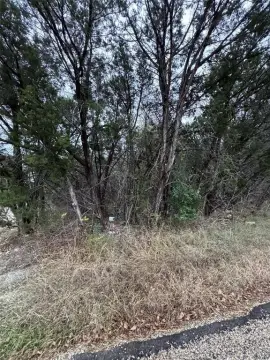 Heavily Wooded Lot in Granbury