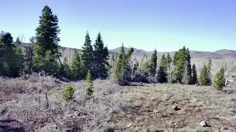 Land Near Kolob Reservoir