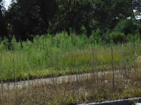 Commercial Lot in Birmingham, AL