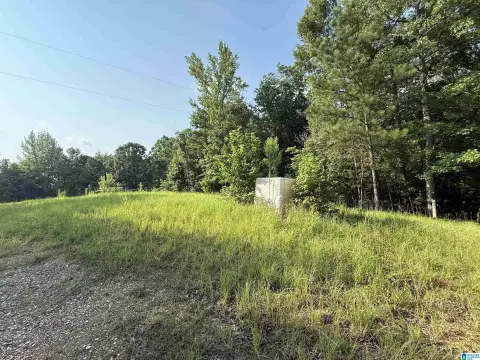 Hunting Land with Creek