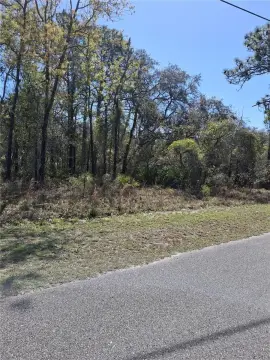 Residential Land in Weeki Wachee