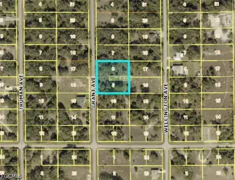 Lehigh Acres One-Acre Lot