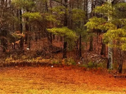 Vacant Land Parcel in Ellijay