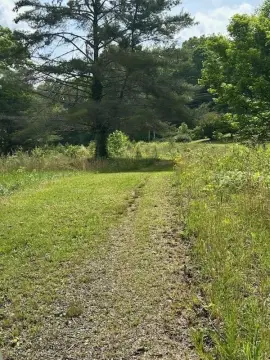 Hayesville, NC Vacant Lot