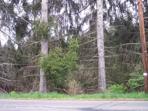 Residential Land in Shavertown, PA