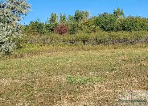 Residential Land in Billings, MT