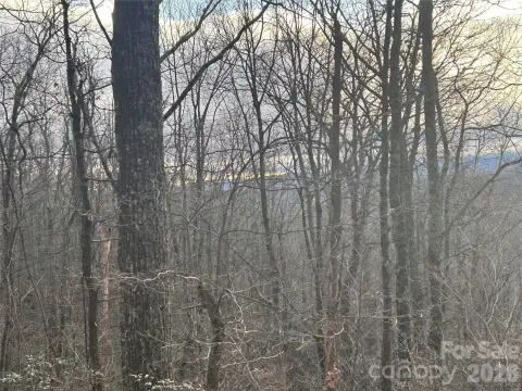 Land in Hickory Acres Community