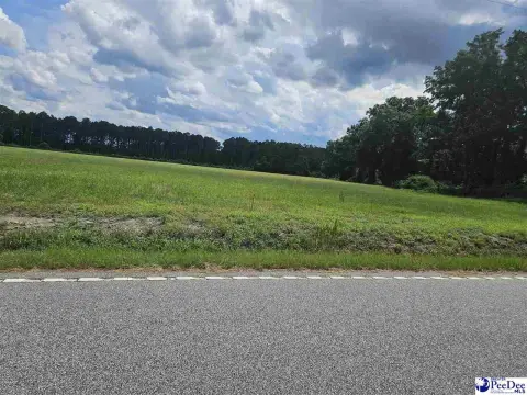 Cleared Residential Lots in Latta