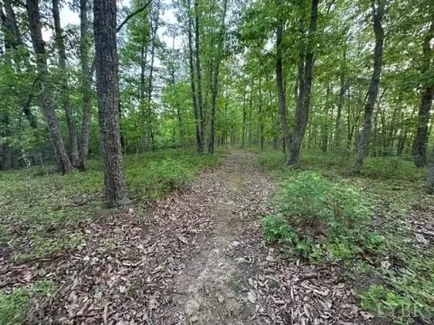 Wooded 10-Acre Lot