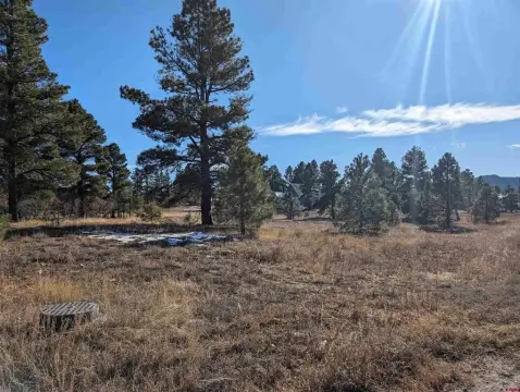 Pagosa Springs Land For Sale