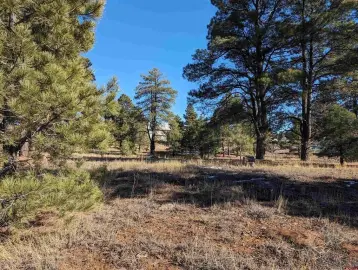 Pagosa Springs Multi-Use Land