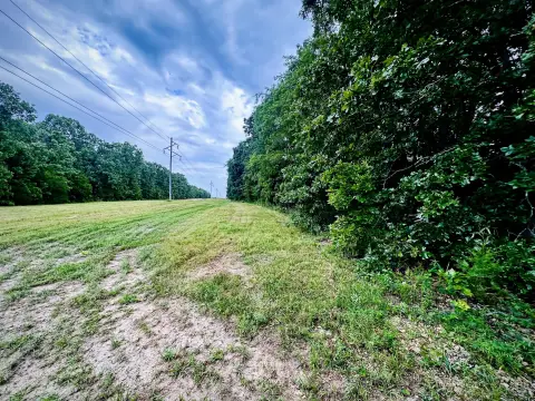 Ozarks Woods Acreage For Sale