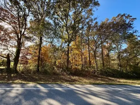 Residential Land Inside Houston, Missouri