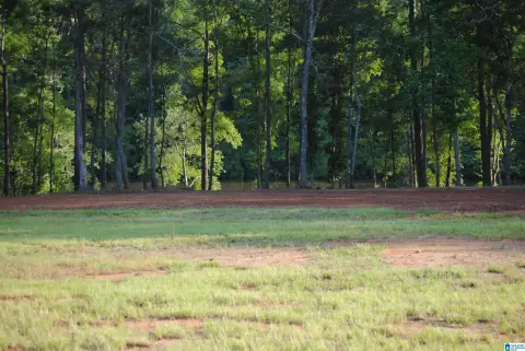 Riverfront Residential Land Lot