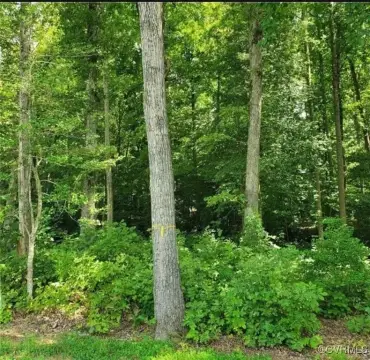 Residential Land in Stonemill Creek