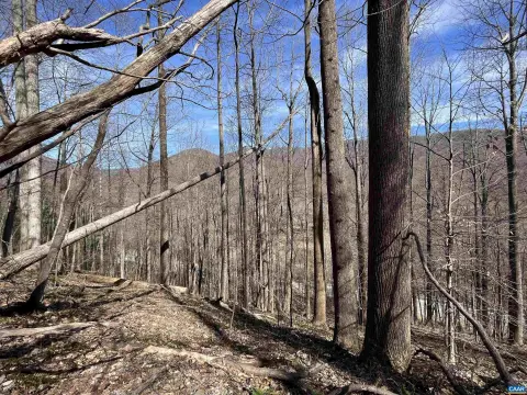 Wooded Land Near Rockfish River