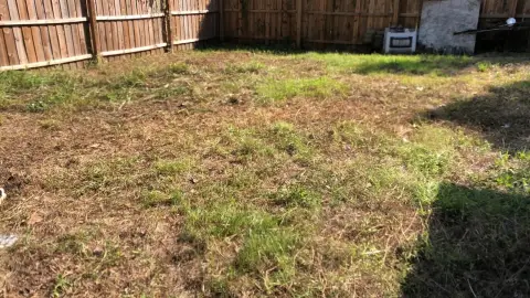 Downtown Dade City Vacant Land