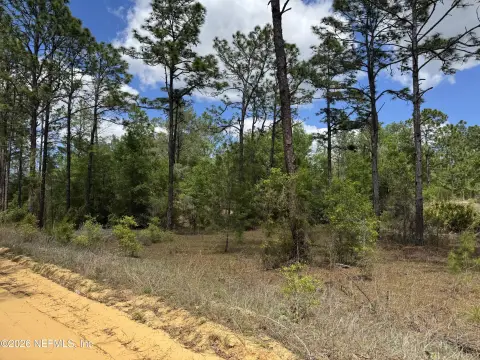 Interlachen Wooded Lots For Sale