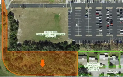Residential Land in New Port Richey