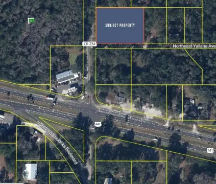Commercial Land Near US-441