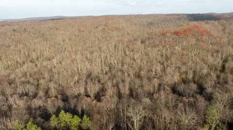 Residential Land Near Morgantown