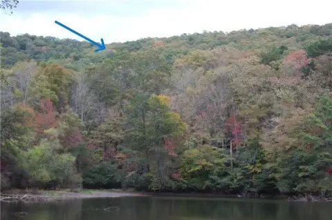 Ellijay Ridge Top Vacant Lot