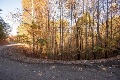 Vacant Lot in Mountain Community
