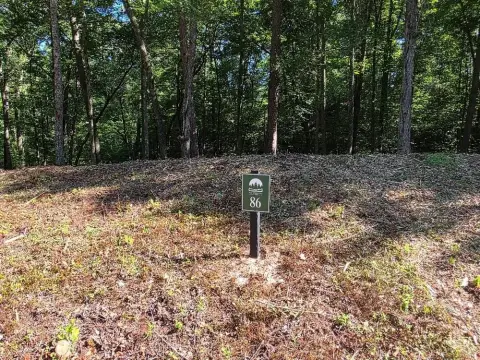 Ellijay, GA Vacant Lot