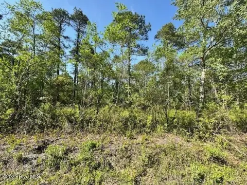 Porters Neck Wooded Parcel