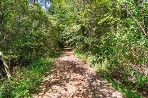Unrestricted Wooded Land