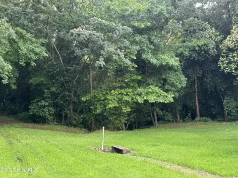 Wooded Lot Near Downtown Kinston