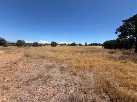 Agricultural Land Parcel