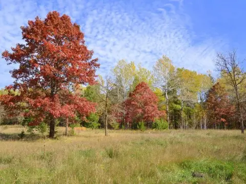 Recreational Land with Meadow