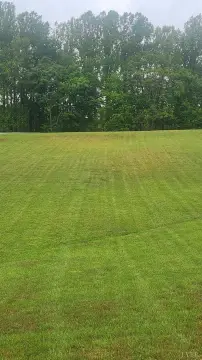 Evans Road Land in Bedford