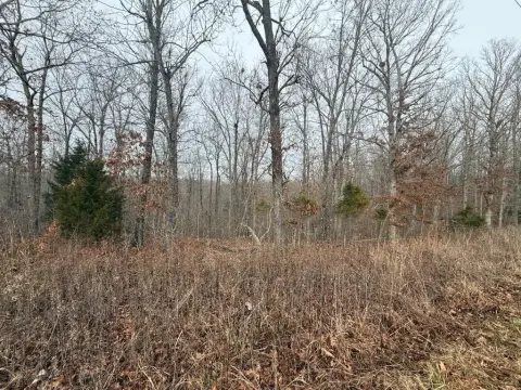 Land with Highway Frontage