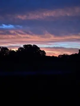 Flemington Wooded Land For Sale