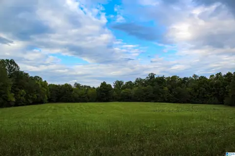 Hunting Land with Creek Access