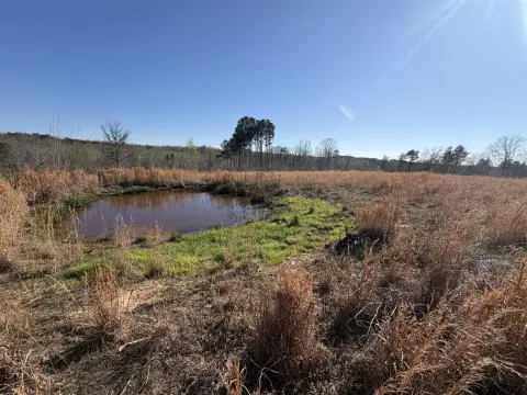 Hunting and Recreational Land