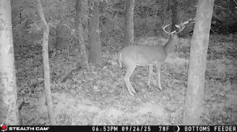 Hunting and Recreational Land