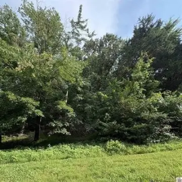 Wooded Waterfront Community Lot