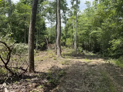Secluded Residential and Recreation Tract