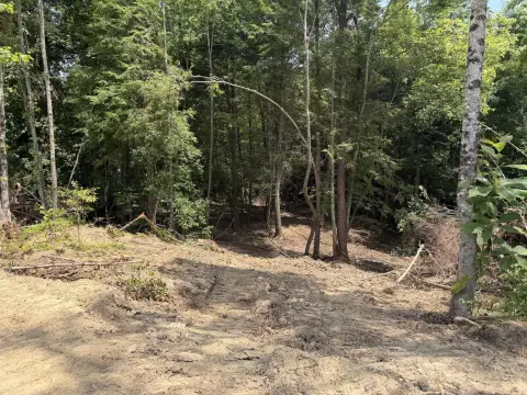 Secluded Residential and Recreational Lot