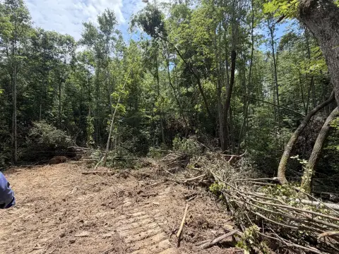 Secluded Rolling Acreage with Gravel Access